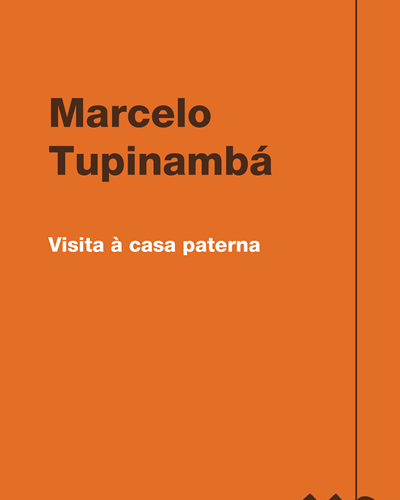 Visita à casa paterna — Marcelo Tupinambá