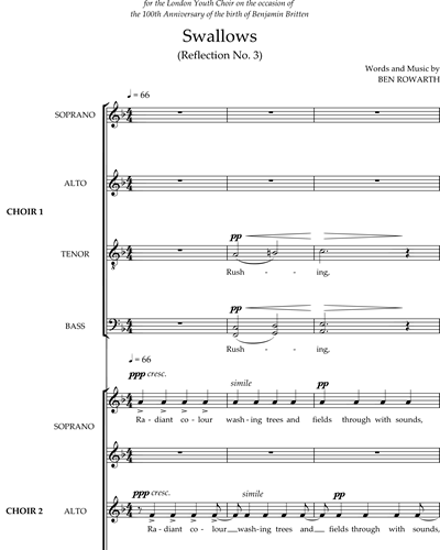 Swallows — Ben Rowarth