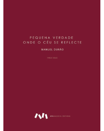 Pequena Verdade onde o Céu se Reflecte — Manuel Durão
