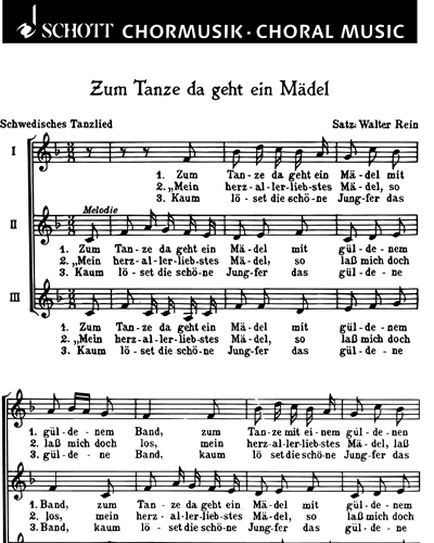 Zum Tanze, da geht ein Mädel — Walter Rein