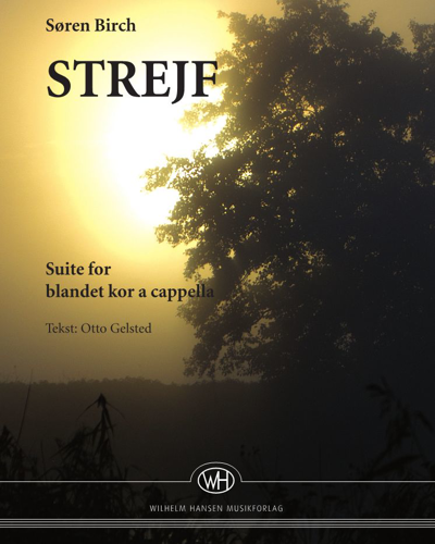 Strejf — Søren Birch