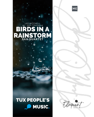Birds in a Rainstorm — Lee Mitchell