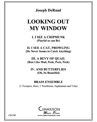 Looking Out My Window — Joseph DeRaad