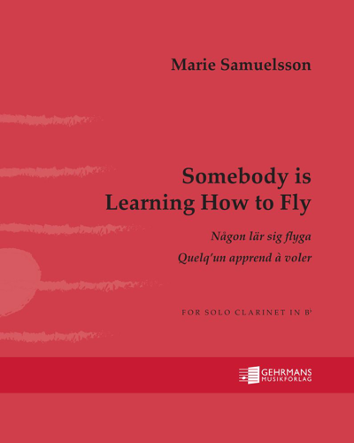Somebody is Learning How to Fly — Marie Samuelsson