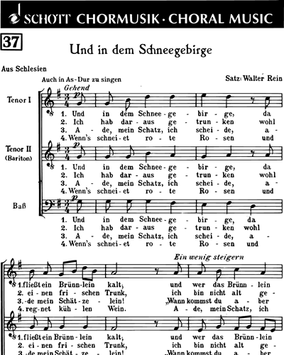 Und in dem Schneegebirge — Walter Rein