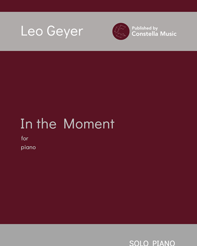In the Moment — Leo Geyer