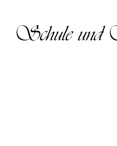 Schule und Spielbuch, Book 2 — Rudolf Schäfer