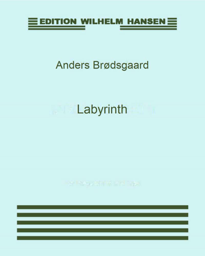 Labyrinth — Anders Brødsgaard