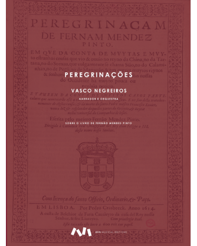 Peregrinações — Vasco Negreiros