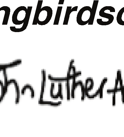 songbirdsongs — John Luther Adams