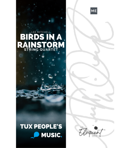 Birds in a Rainstorm — Lee Mitchell