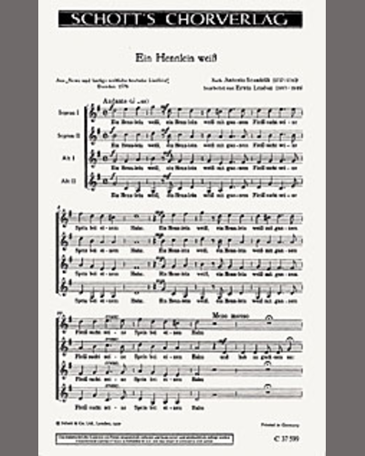 Ein Hennlein weiß — Antonio Scandello