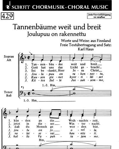 Europäische Weihnachtslieder — Karl Haus