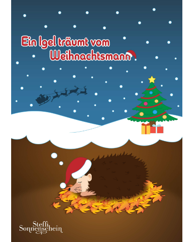 Ein Igel träumt vom Weihnachtsmann — Steffi Sonnenschein