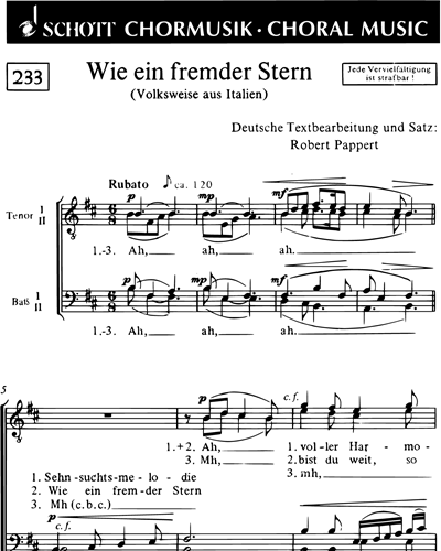 Wie ein fremder Stern — Robert Pappert