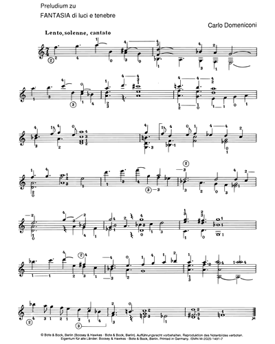 Fantasia di luci e tenebre — Carlo Domeniconi