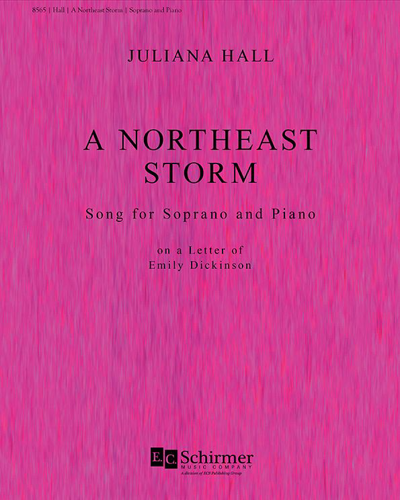 A Northeast Storm — Juliana Hall