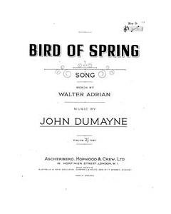 Bird Of Spring — John Dumayne