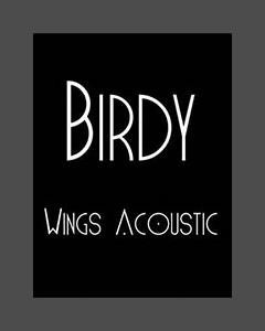 Wings — Birdy