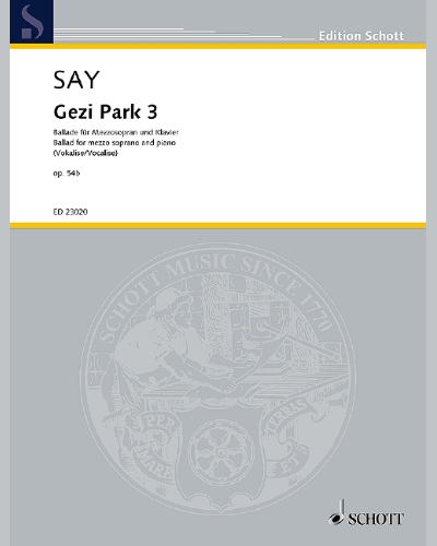 Gezi Park 3 — 法泽尔·萨伊