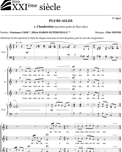 Pluri-ailes - Clandestine — Éric Noyer