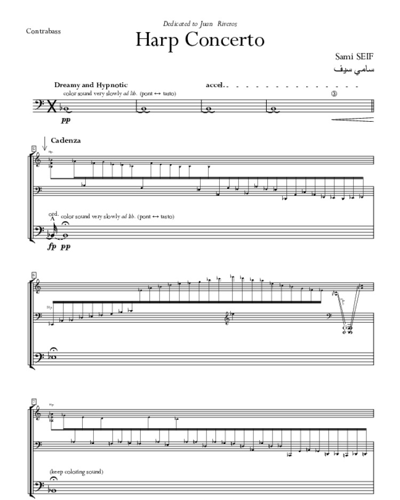 Harp Concerto — Sami Seif