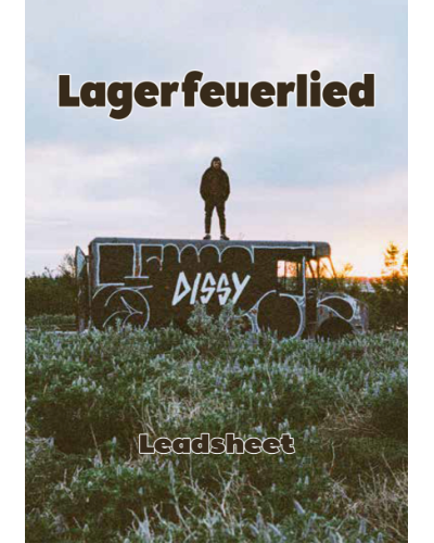Lagerfeuerlied — DISSY