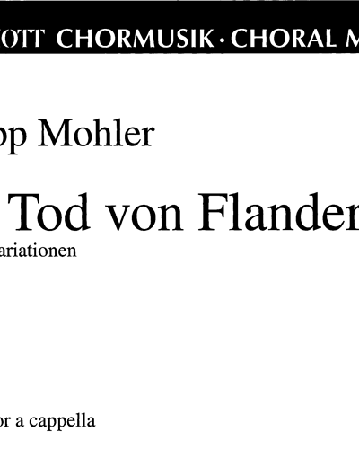 Der Tod von Flandem — Philipp Mohler