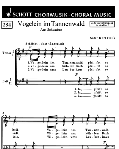 Vögelein im Tannenwald — Karl Haus