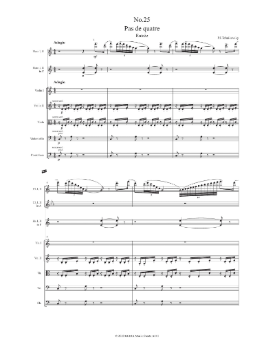 Bluebird Pas de deux (from 'The Sleeping Beauty, op. 66') — 柴可夫斯基