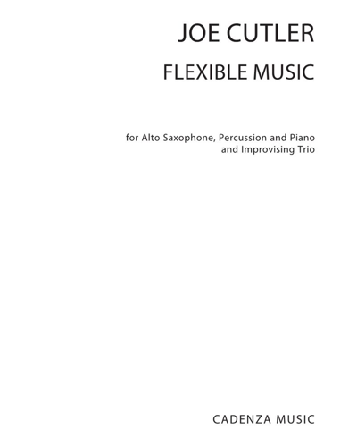 Flexible Music — Joe Cutler