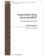 Sometimes I Feel Alive: 3. Somewhere I have never travelled — Julian Wachner