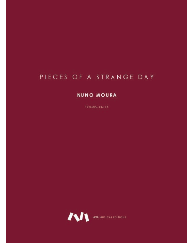 Pieces of a Strange Day — Nuno Moura