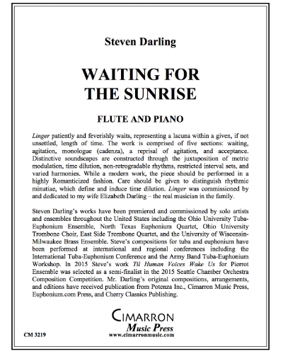 Waiting for the Sunshine — Steve Darling