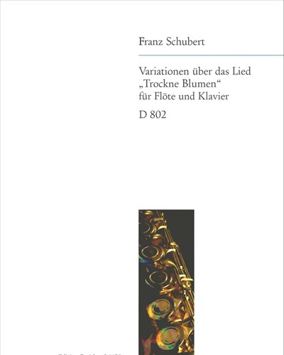 Variationen über das Lied 'Trockne Blumen', op. post. 160 — 舒伯特