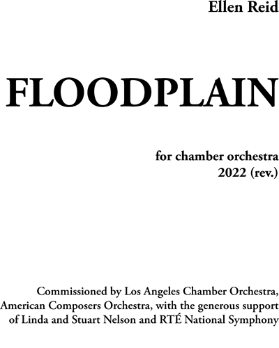 Floodplain — Ellen Reid