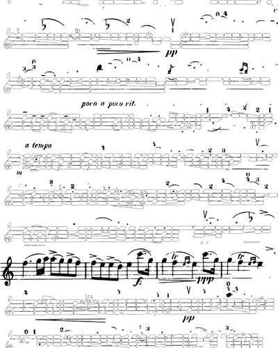 Serenade for Violin and Piano — 海顿