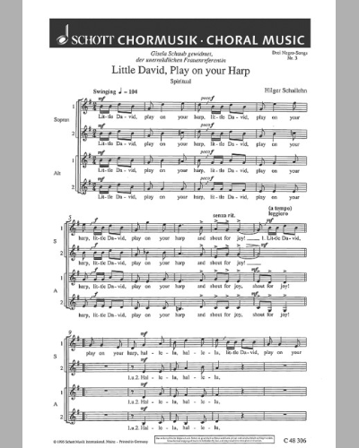 3 Negro-Songs — Hilger Schallehn