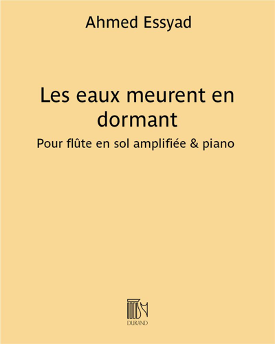 Les eaux meurent en dormant — Ahmed Essyad