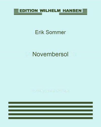 Novembersol — Erik Sommer