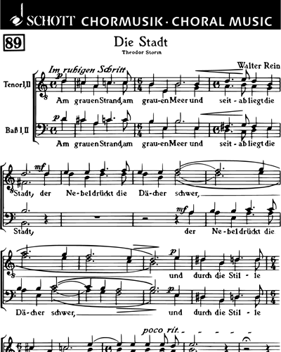 Die Stadt — Walter Rein
