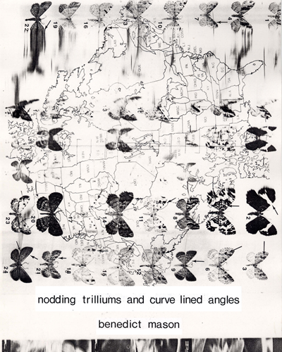 Nodding Trilliums and Curve Lined Angles — Benedict Mason