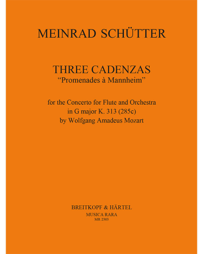 3 Kadenzen „Promenades à Mannheim“ — Meinrad Schütter