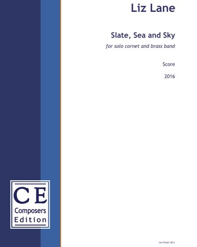Slate, Sea and Sky — Liz Lane