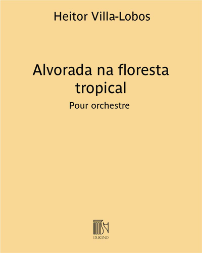 Alvorada na floresta tropical — 维拉-洛博斯