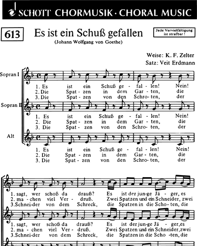 Es ist ein Schuss gefallen — Veit Erdmann-Abele