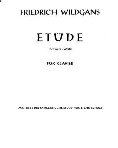 Etüde Schwarz-Weiß — Friedrich Wildgans
