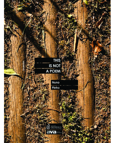 This is not a poem… — Nuno Peixoto de Pinho