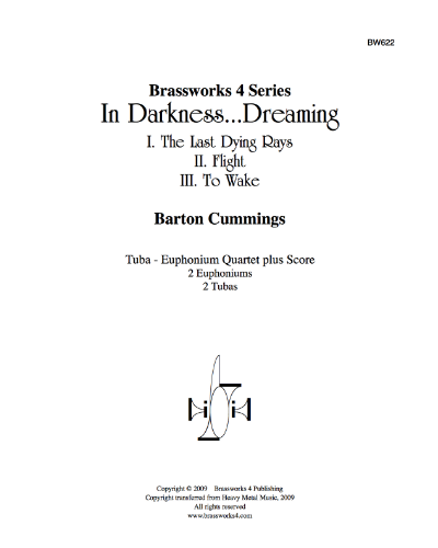 In Darkness...Dreaming — Barton Cummings