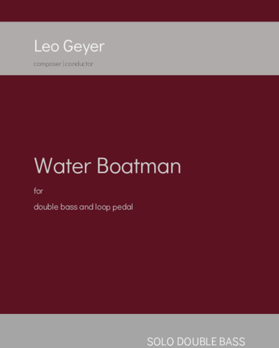 Water Boatman — Leo Geyer
